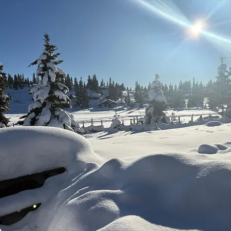 Semesterbostad Very And By The Sjusjoen