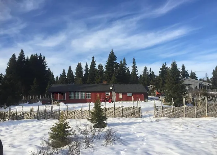 Very And By The Ferienhaus Sjusjøen